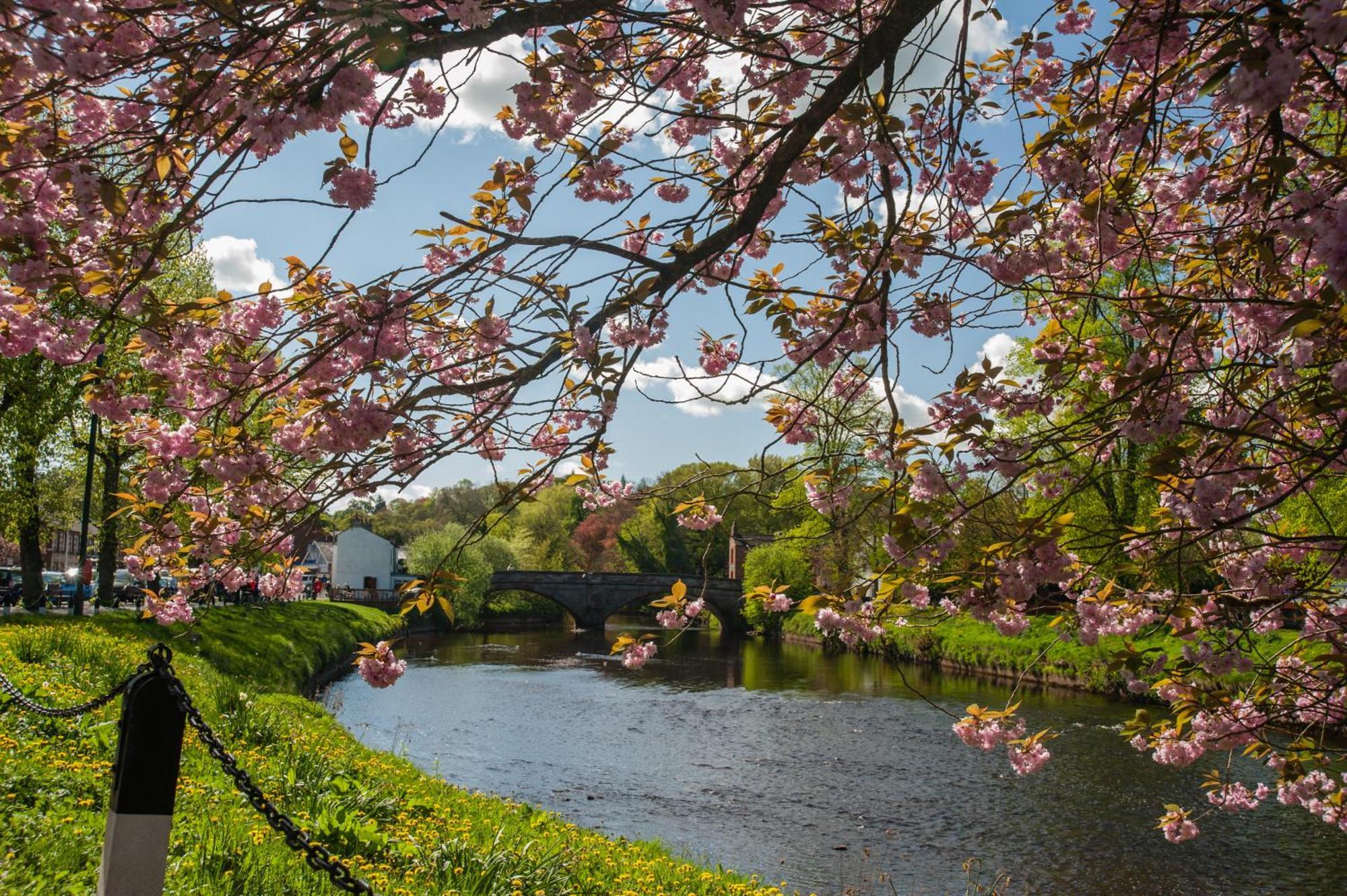 Little Apple Cottage- Free Parking, Hot Tub, Fire, Town Centre Appleby-in-Westmorland Exteriér fotografie